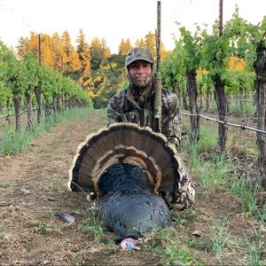 Meet your Posher, Ben